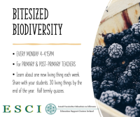 WCWAUT23347 Bitesize Biodiversity